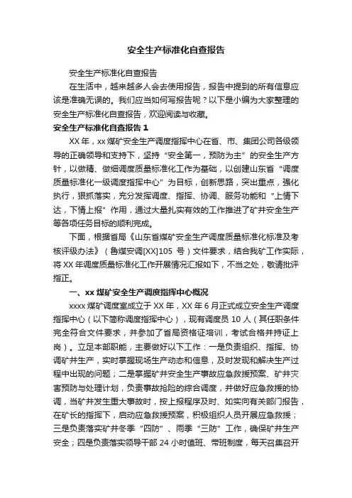 安全生产标准化自查报告