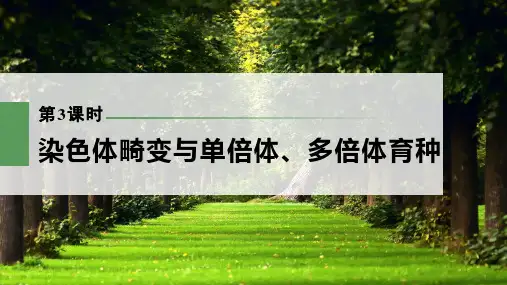 一轮复习  浙科版 染色体畸变与单倍体、多倍体育种(90张) 课件