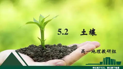 人教版2019高中地理必修一5.2土壤课件(21张).ppt