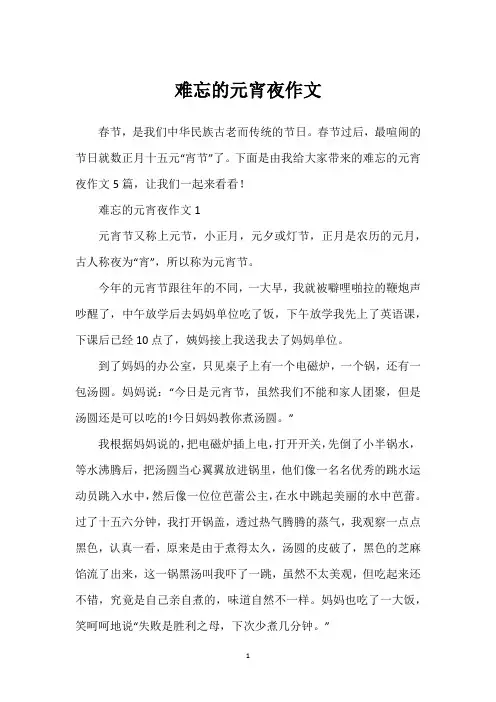 难忘的元宵夜作文