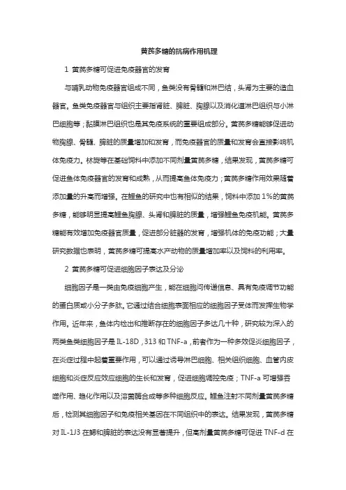 黄芪多糖的抗病作用机理