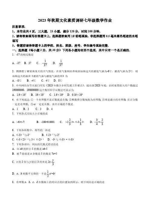 河南省南阳市西峡县2023-2024学年七年级上学期期中文化素质调研数学试题(含答案)