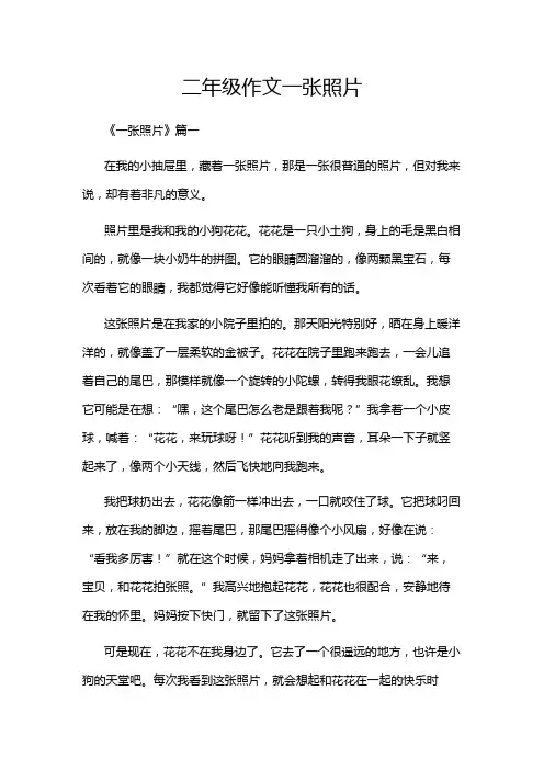 二年级作文一张照片