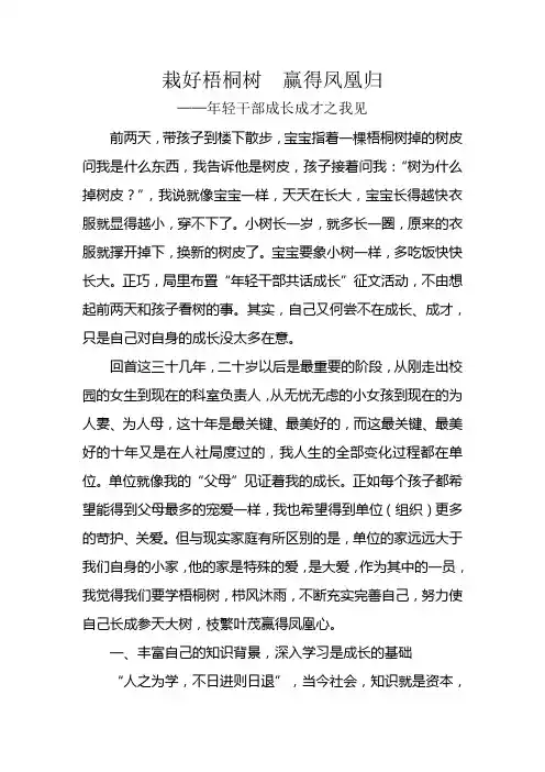 栽好梧桐树  赢得凤凰心
