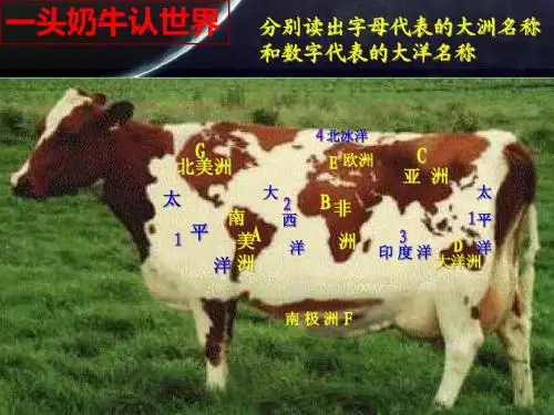 wxx大洲和大洋(2)