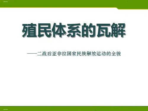 《殖民体系的瓦解》冷战时期的世界PPT(完美版)