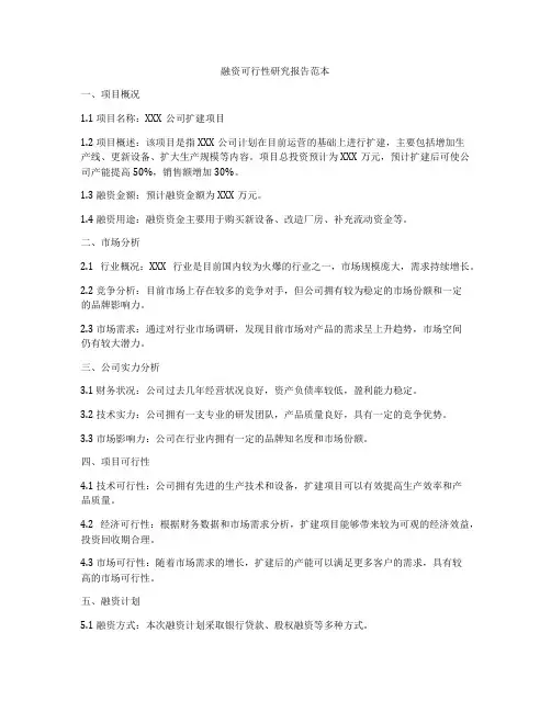 融资可行性研究报告范本