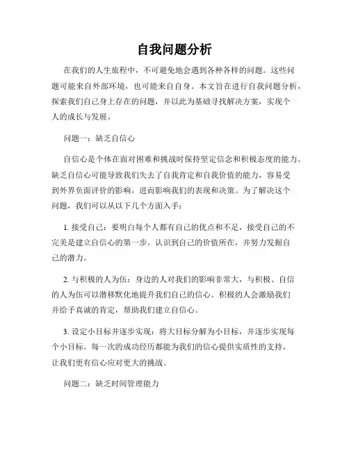 自我问题分析