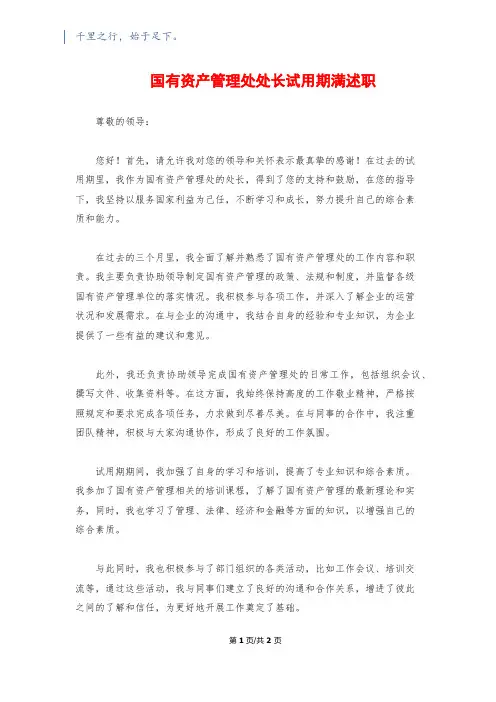 国有资产管理处处长试用期满述职