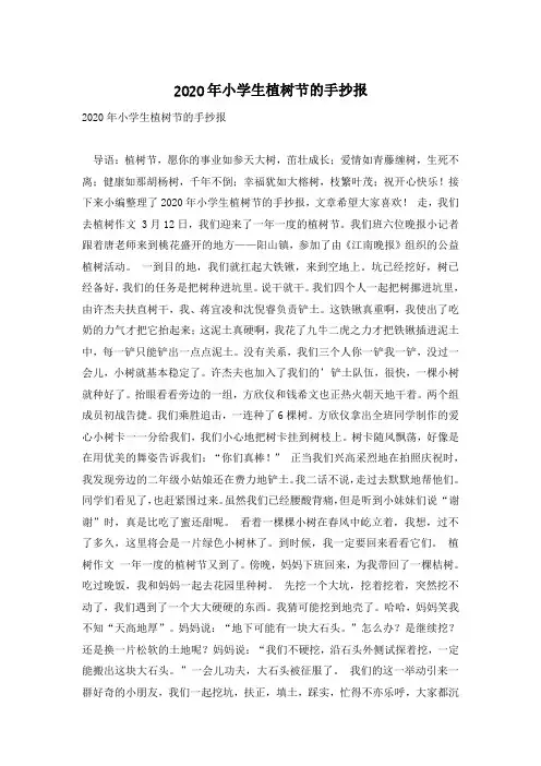 2020年小学生植树节的手抄报