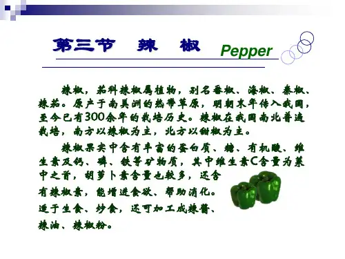 辣椒分类