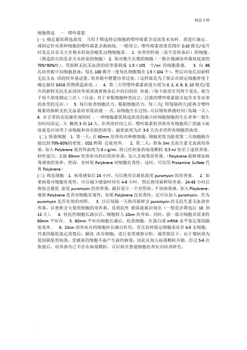 细胞筛选一嘌呤霉素