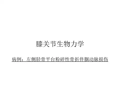 膝关节生物力学