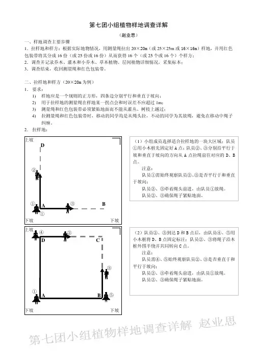 植物样地调查详解