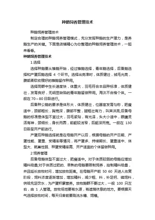 种鹅饲养管理技术