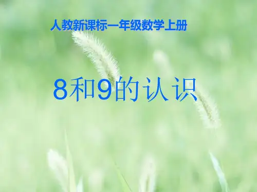 8和9的认识PPT教学课件