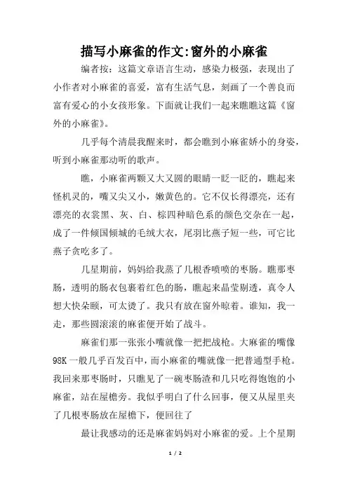 描写小麻雀的作文-窗外的小麻雀
