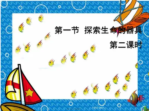 七年级生物上册 第1单元 第2章 第1节 探索生命的器具(第1课时)课件