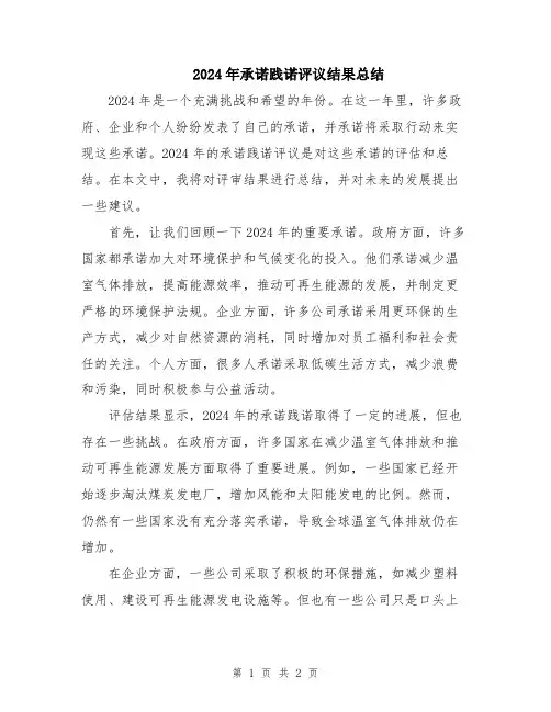 2024年承诺践诺评议结果总结