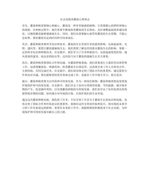 社会实践养蘑菇心得体会