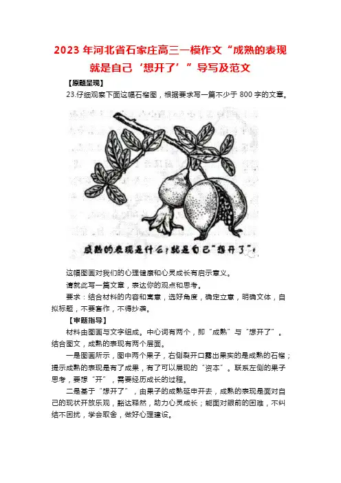 2023年河北省石家庄高三一模作文“成熟的表现就是自己‘想开了’”导写及范文