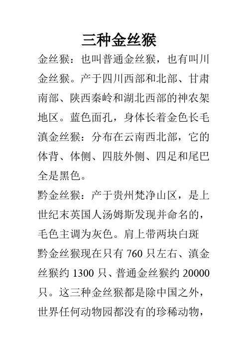 三种金丝猴