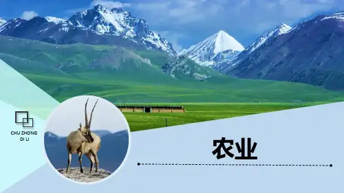 《农业》综合版