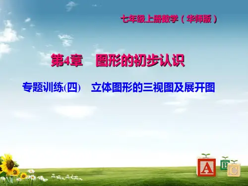 华东师大版七年级数学上册习题课件：专题训练(四) 立体图形的三视图及展开图 (共21张PPT)精品