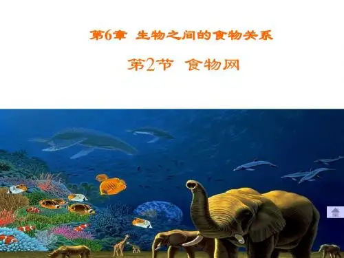 【精美】苏科版七年级生物上册6.2食物网1