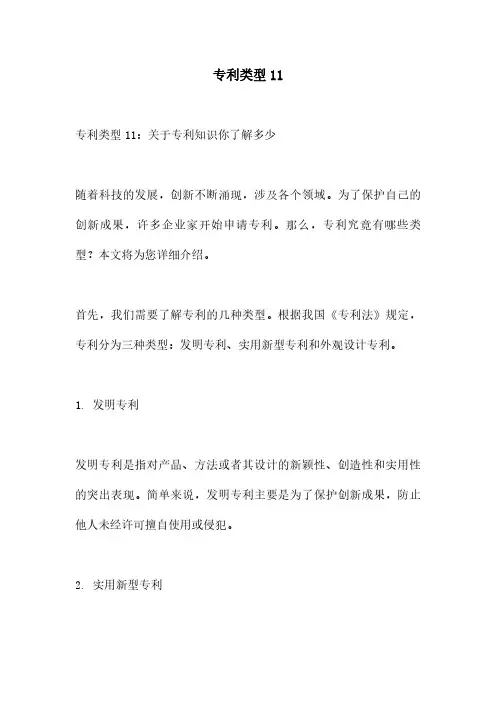 专利类型11
