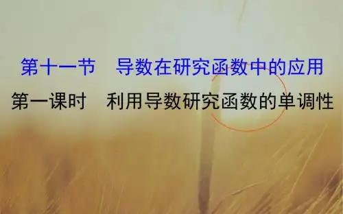 2018届高考数学理科全国通用一轮总复习课件：第二章 