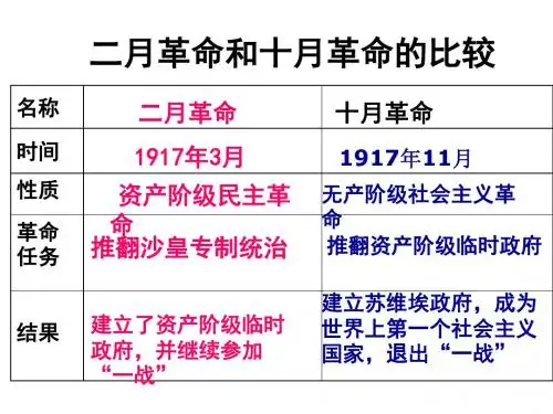 10苏联早期社会主义道路的探索