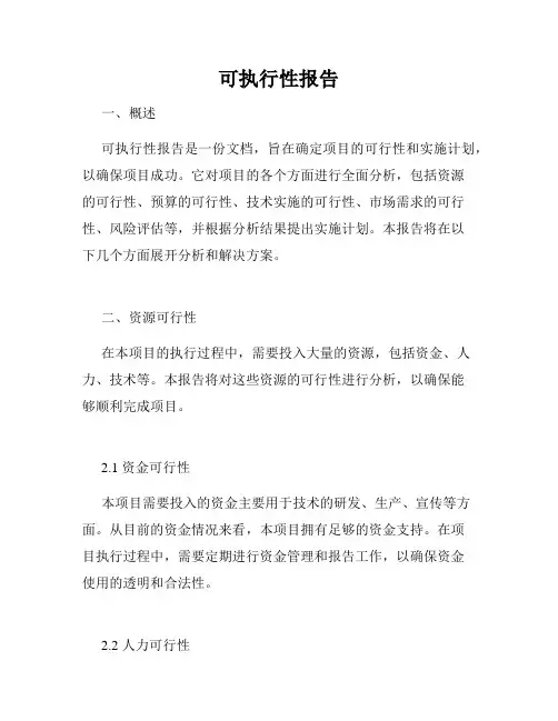 可执行性报告