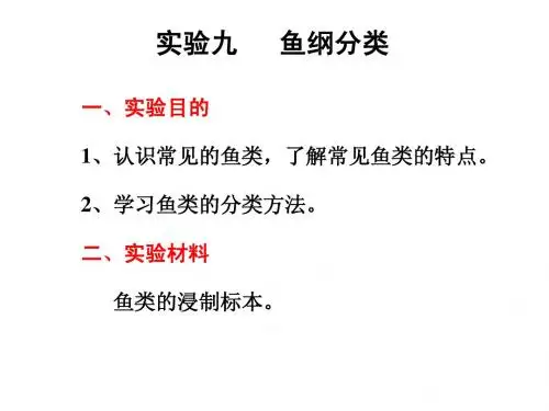 实验九 鱼纲的分类