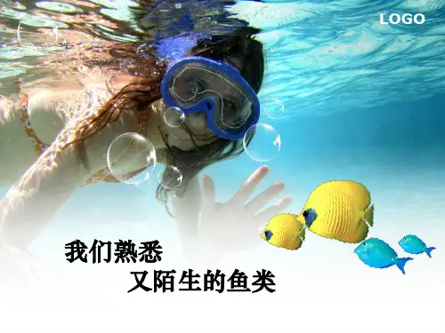 鱼类知识PPT课件
