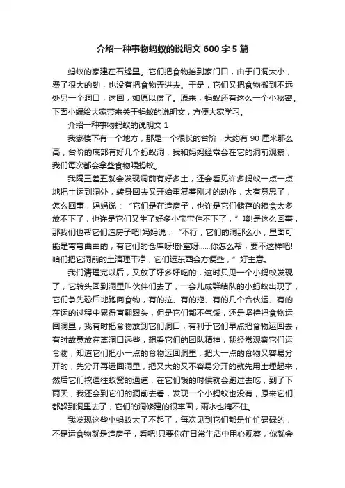 介绍一种事物蚂蚁的说明文600字5篇