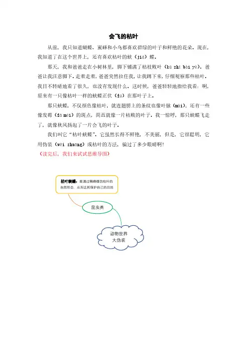 二下语文快乐读书吧金波《一起长大的玩具》之《会飞的枯叶》电子版文档
