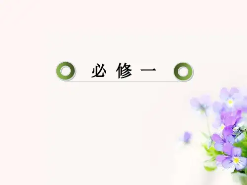 高考历史总复习 6-2罗马人的法律课件 人民版必修1