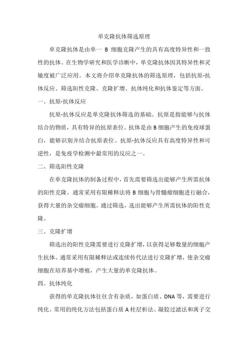 单克隆抗体筛选原理