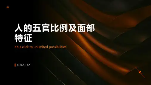 人的五官比例及面部特征