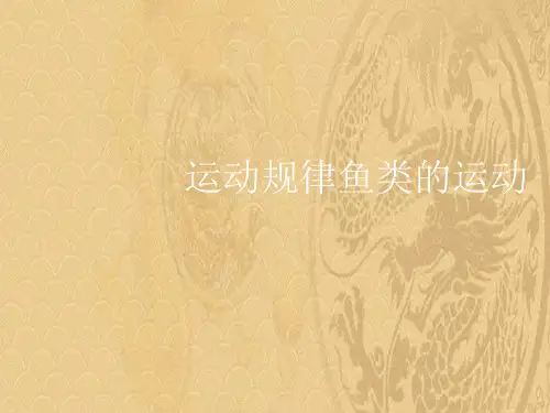 2021优选运动规律鱼类的运动ppt