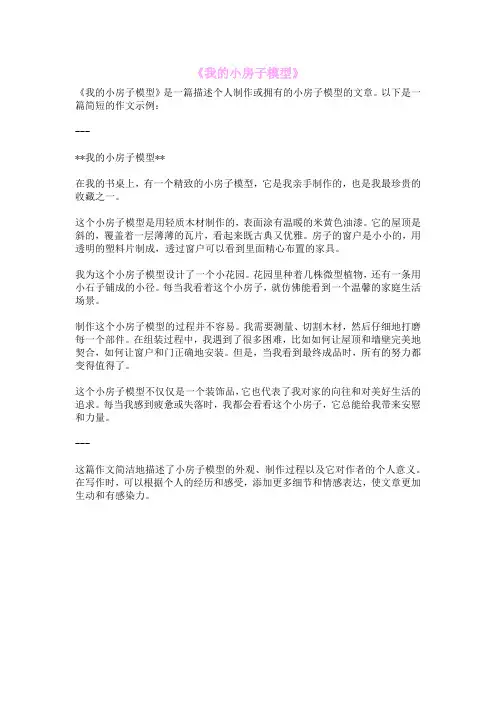 《我的小房子模型》