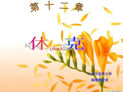 休克(病生)