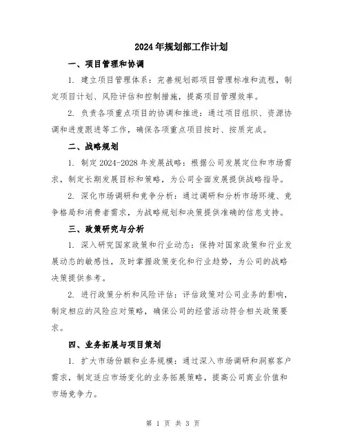 2024年规划部工作计划