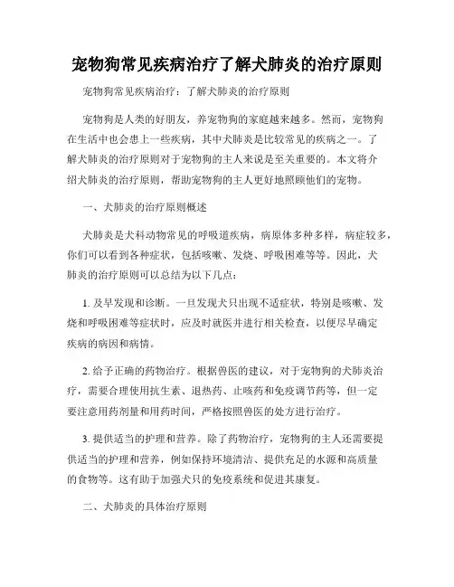 宠物狗常见疾病治疗了解犬肺炎的治疗原则