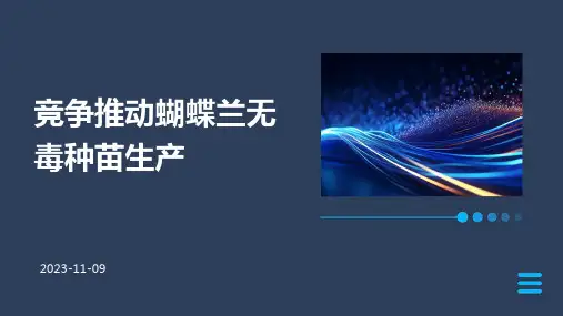 竞争推动蝴蝶兰无毒种苗生产