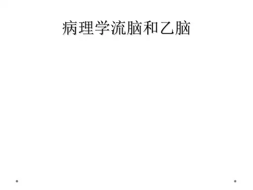 病理学流脑和乙脑