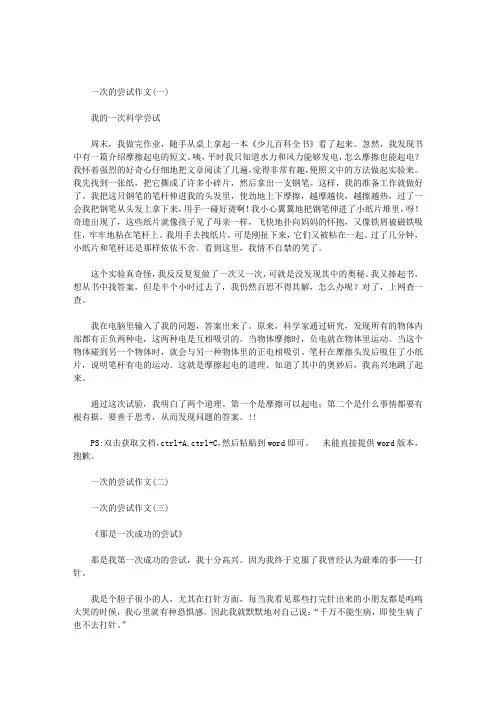 一次的尝试作文