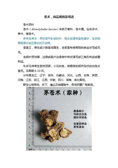 苍术，商品规格及用途