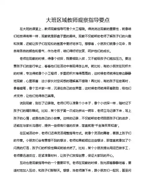大班区域教师观察指导要点